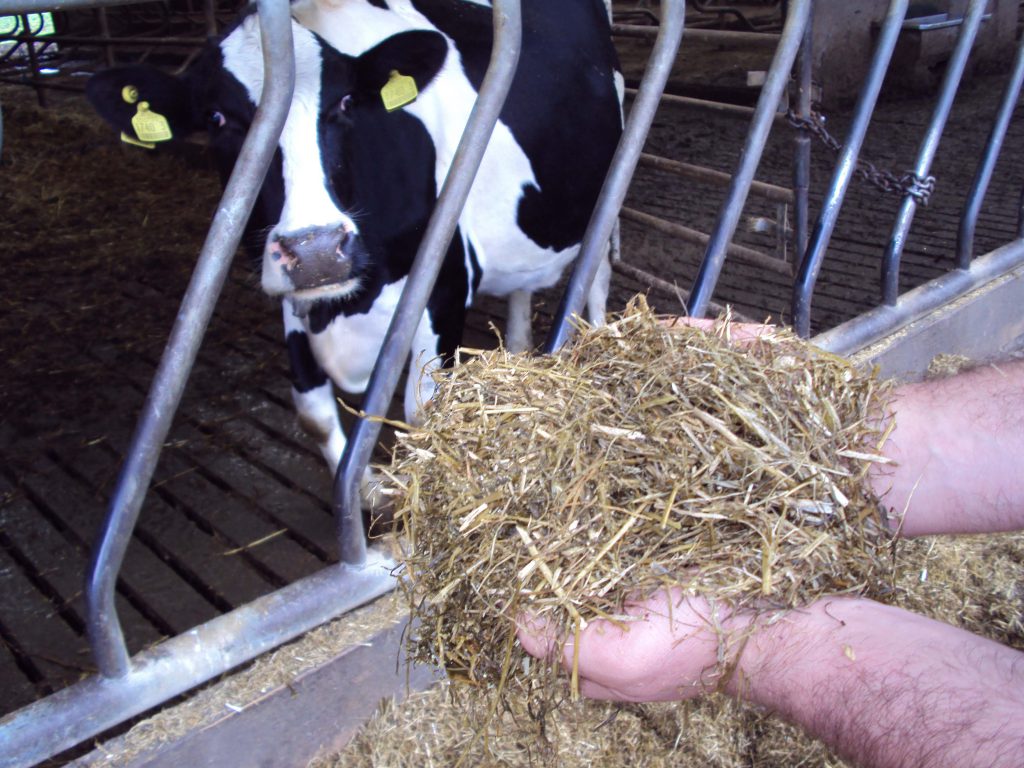 Total Mixed Ration (TMR)