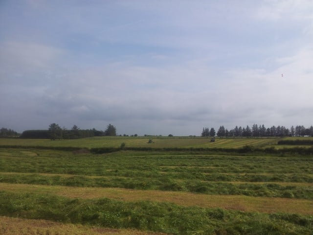 A light crop of grass, cut in good weather that has been spread after cutting should be rowed within 24 hours to prevent the crop becoming too dry
