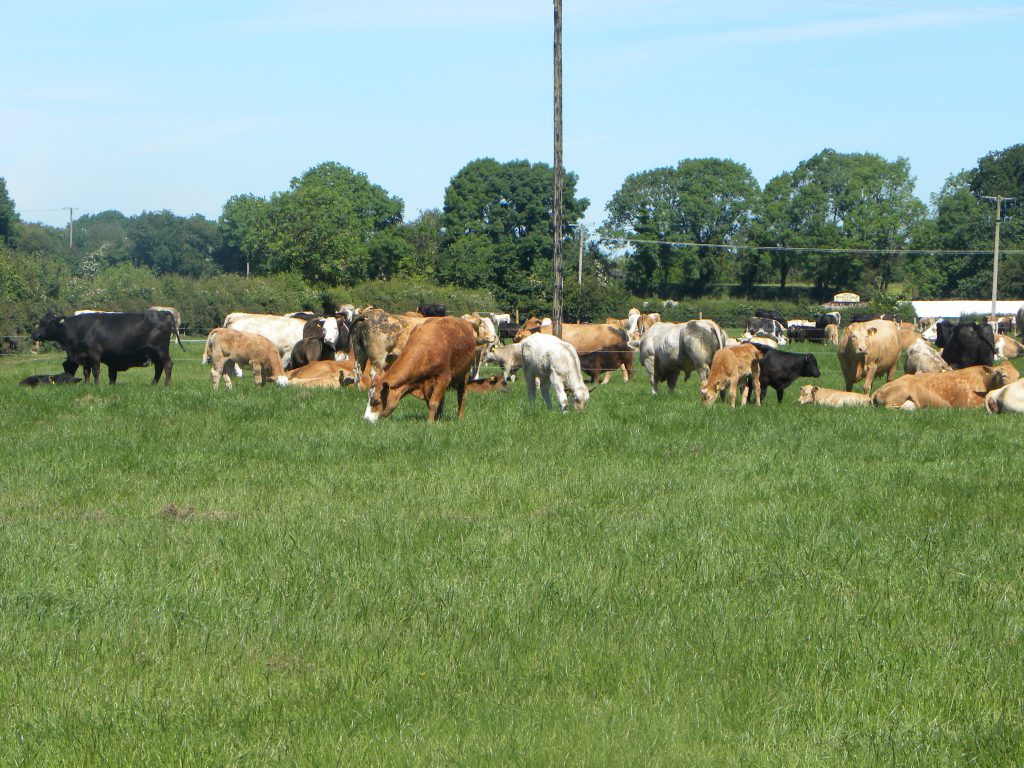 It wasn't just farmers gathering from early this morning