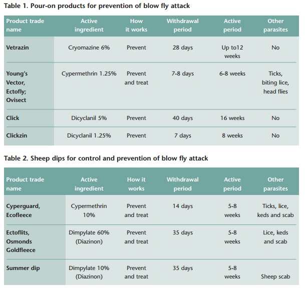 Source: Teagasc