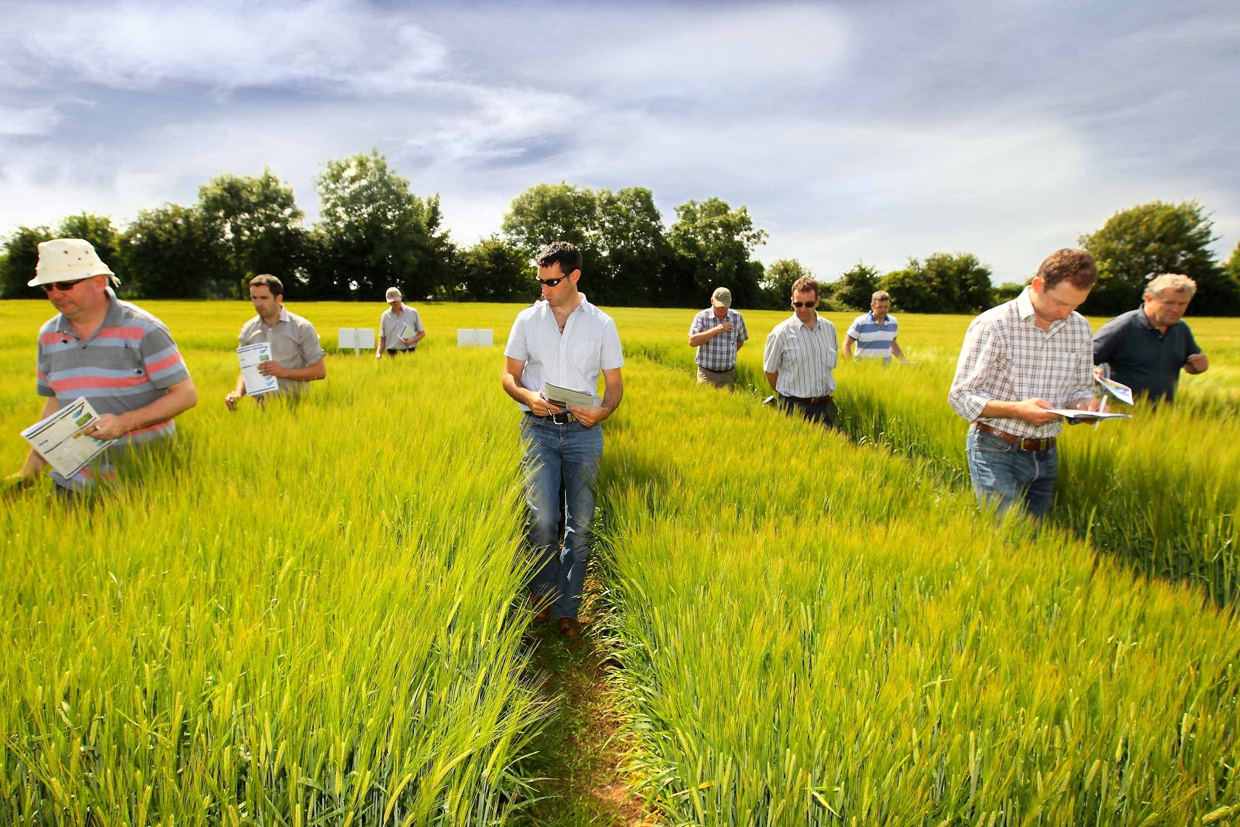 First to view crops at Seedtech’s recent Cereal Trials Open Day (left – right) John Geraghty, Agri Consultant, Mark Hosford, Southern Fuel and Farm Supplies and Ollie Carter, Kilroy Agri at Seedtech.