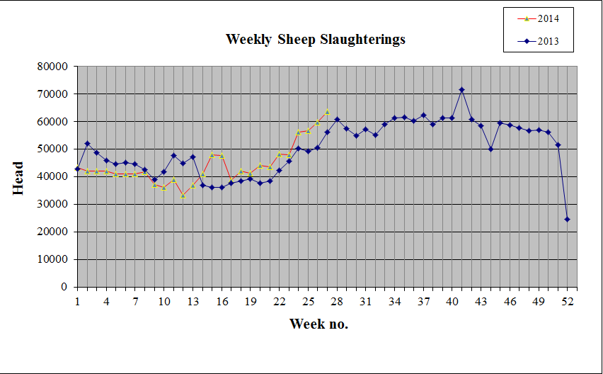 Lamb supplies for the week ending July 6 stood at around 63,000 head, which is around 7,000 head or 13% higher than the corresponding week in 2013.