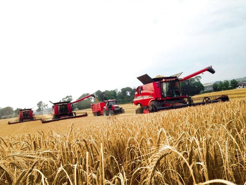 McGuinness Bros Richardstown, Co Louth cutting cassia barley near Ardee on 19 July, yielding 3.7t/acre and bushelling 67kph