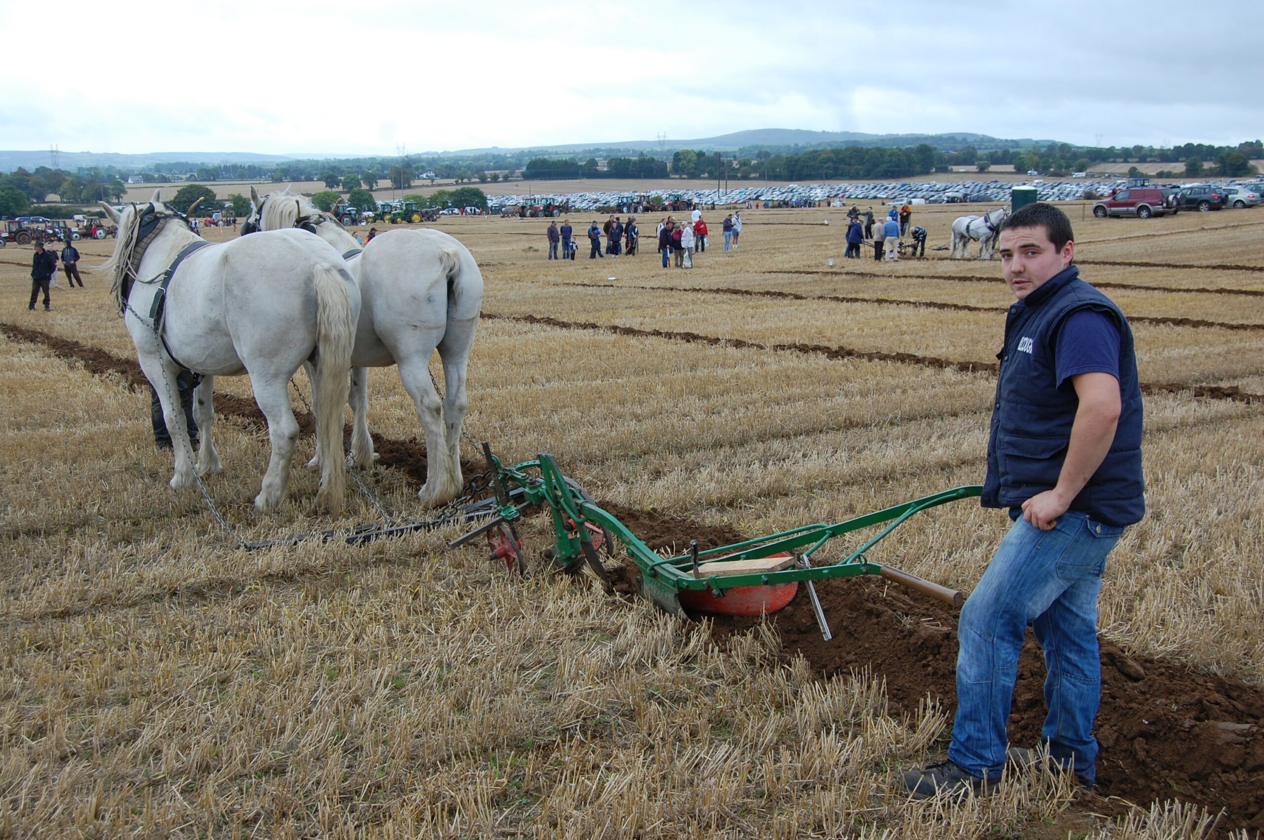 Patrick Commone from Co Kildare, stepping out in style with his pair of Irish and French Draught geldings – Bob and Clyde.