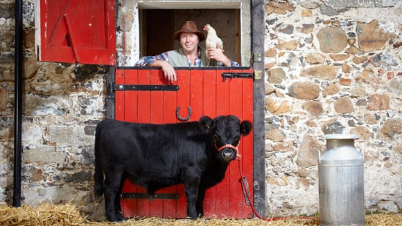 Archie – the world’s shortest bull. Pic: Guinness Book of Records.