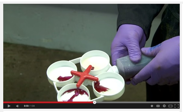 The CMT test identifies subclinical mastitis in cows