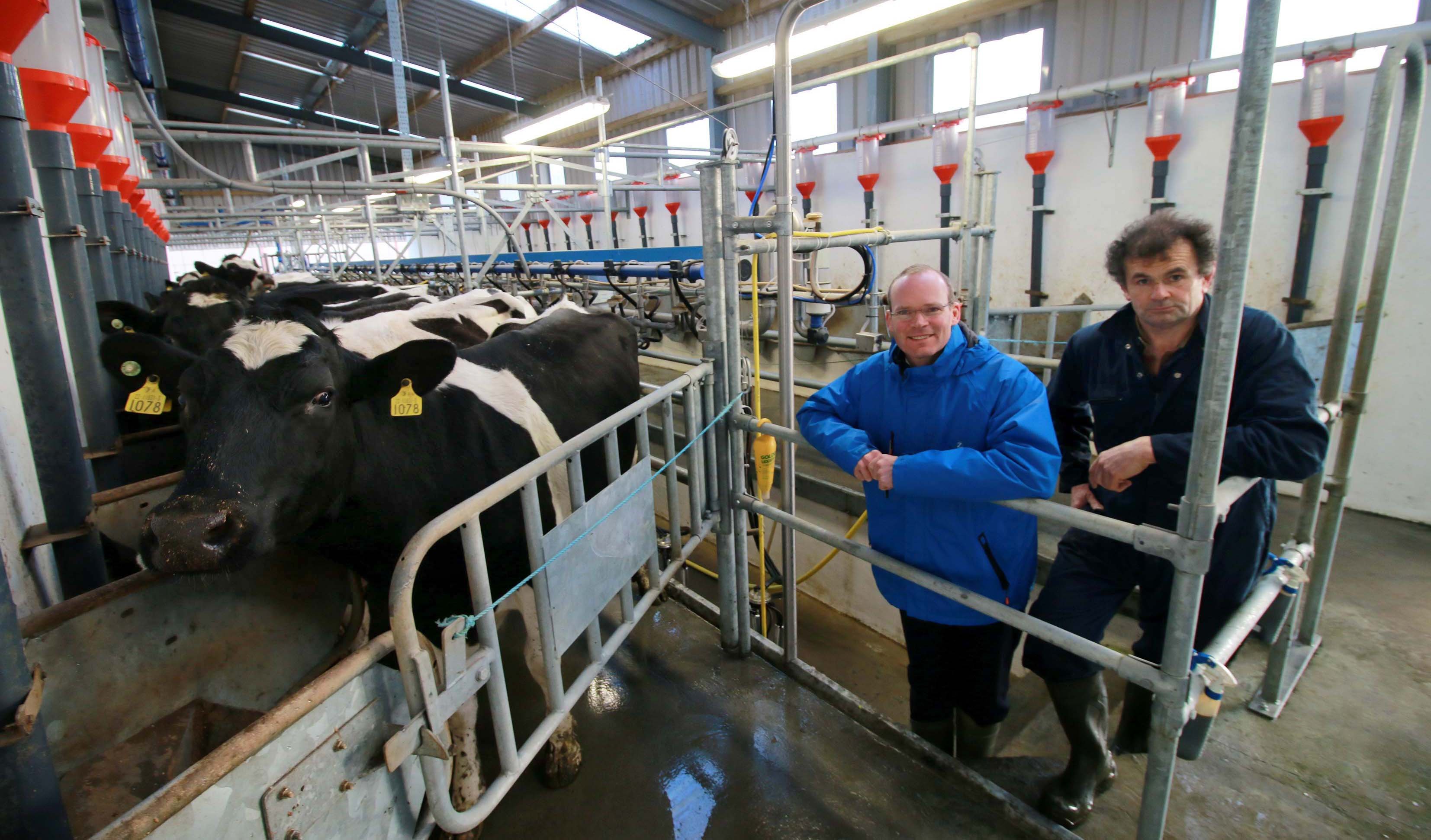 Minister for Agriculture Food and the Marine Simon Coveney