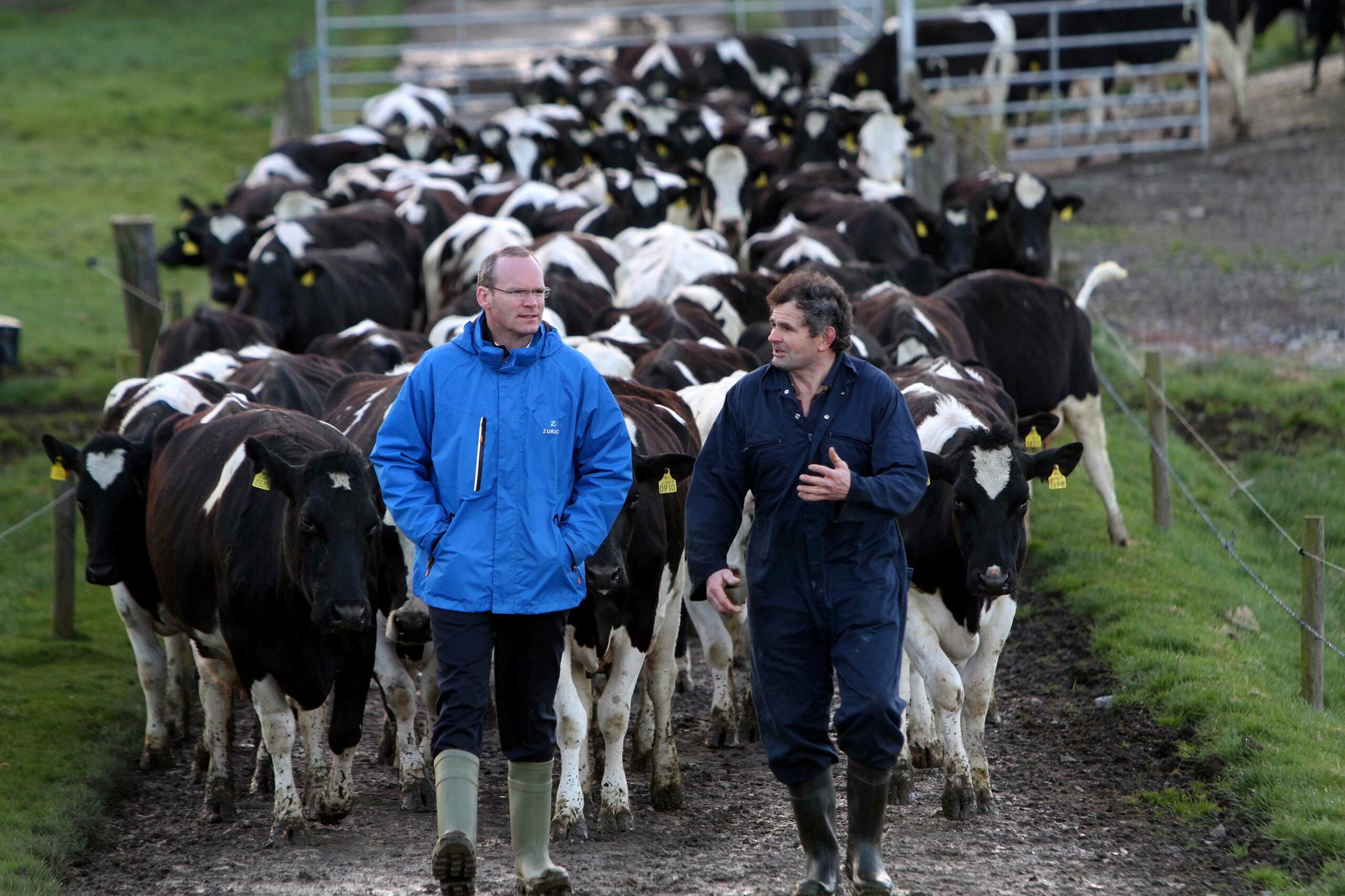 Minister Coveney has said in establishing the National Reserve he opted for the maximum available 3% of the Basic Payment Scheme financial ceiling, which is estimated at providing a fund of approx. €24 million in 2015.