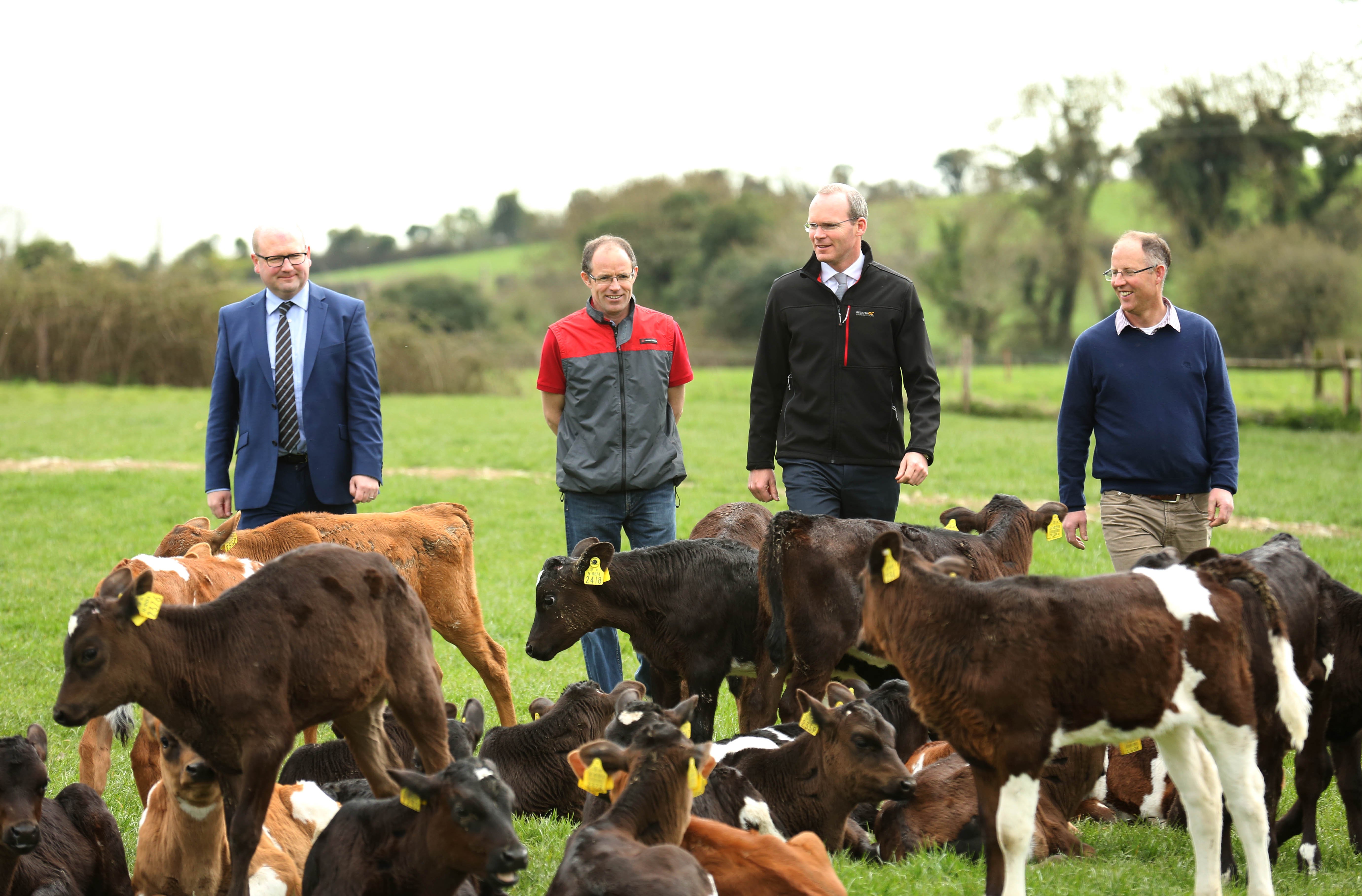 Minister for Agriculture Simon Coveney pictured at the launch of Farm Safety Fortnight