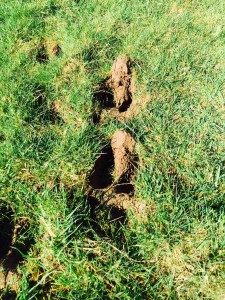 Wet conditions did nothing to help turnout in many parts