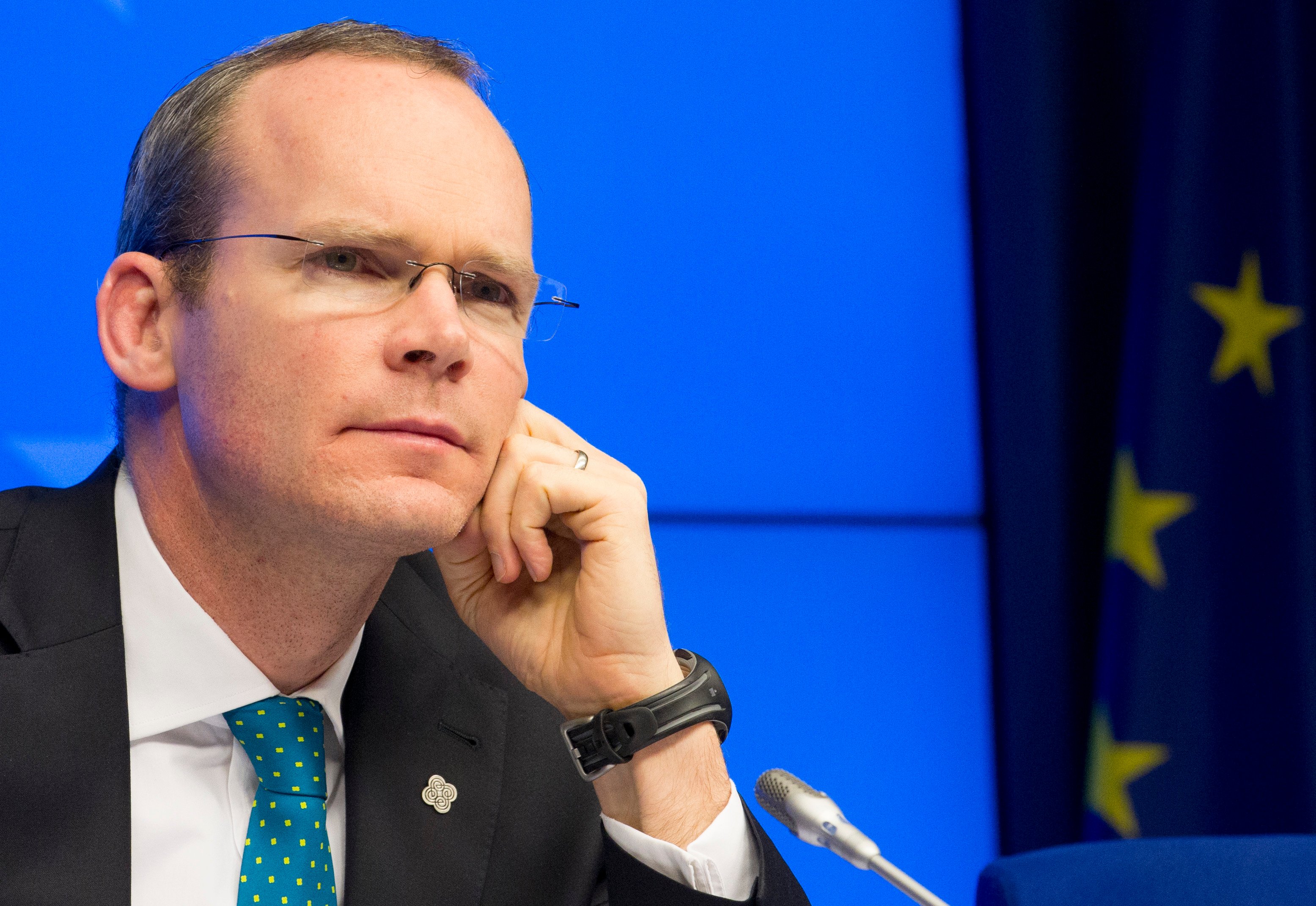 Minister for Agriculture Simon Coveney