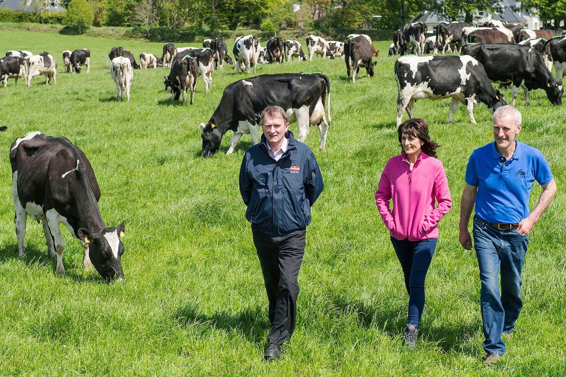 Ger Hennessy, Dairygold with Dan and Valerie Dennehy, Clonmoyle, Aghabullogue, Co Cork, winners of the Dairygold Milk Quality Awards. Photo O’Gorman Photography.