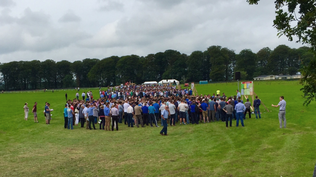 Part of the huge crowd early in the day at Moorepark.