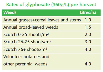 Image: Teagasc