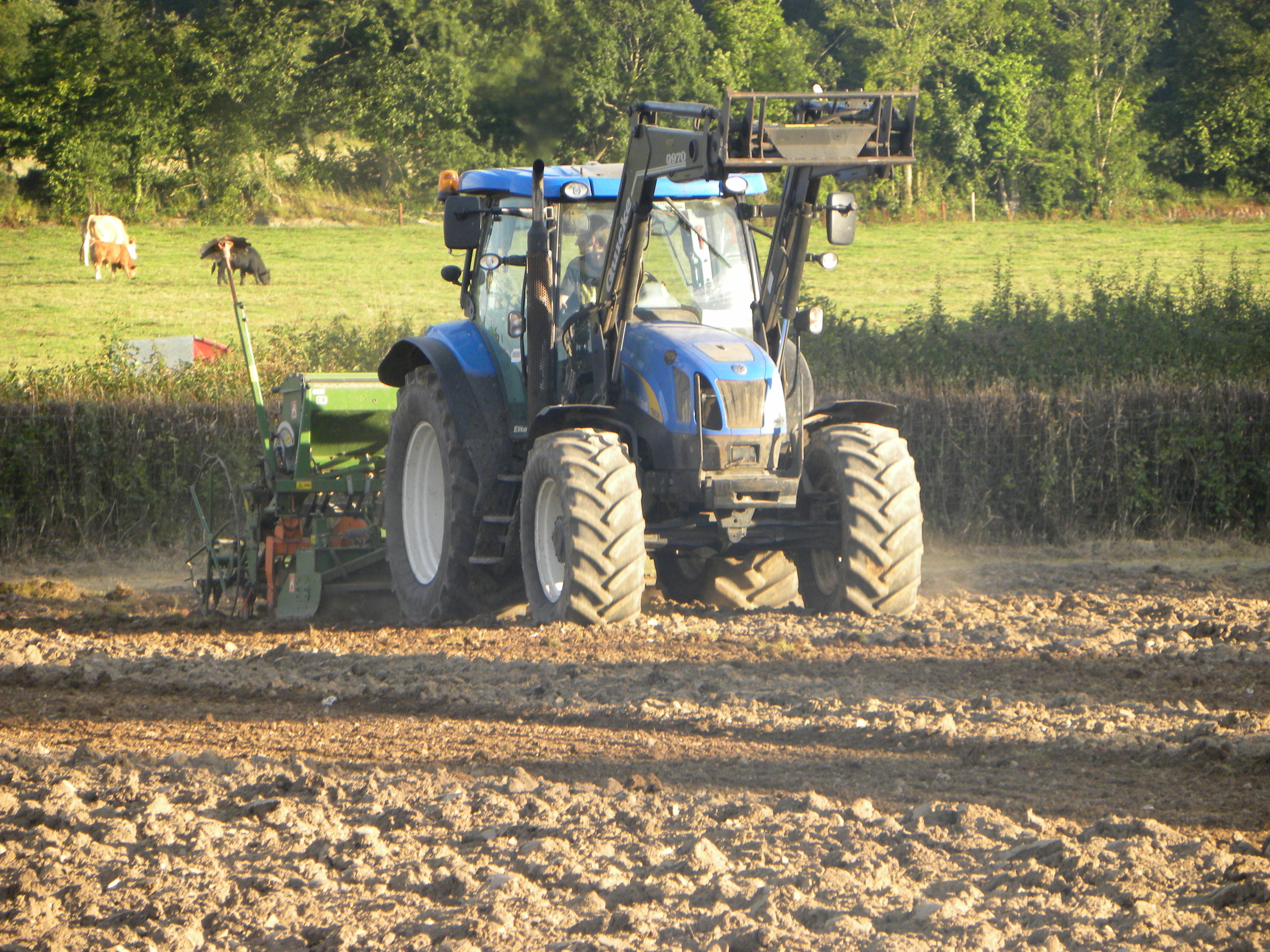 Amazone AD303 in operation on the farm of Dan Bracken