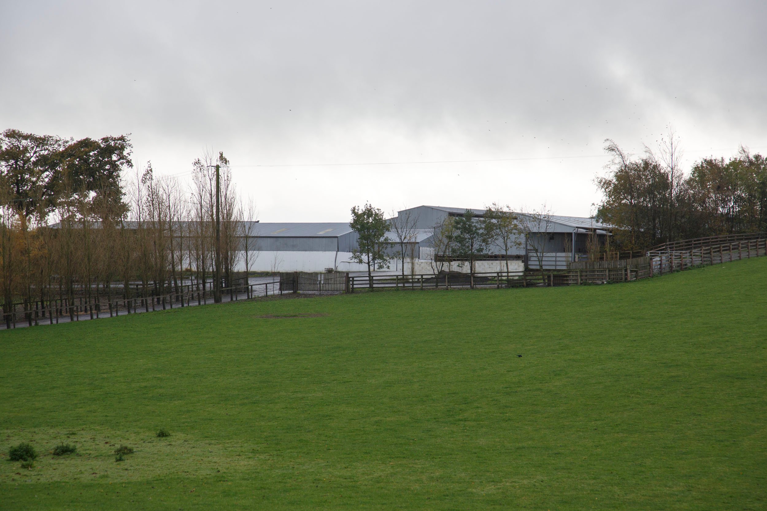 TLT International headquarters