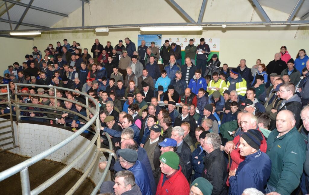 A packed ring at Balla Mart for the Charity Auction in conjunction with the special springer sale.