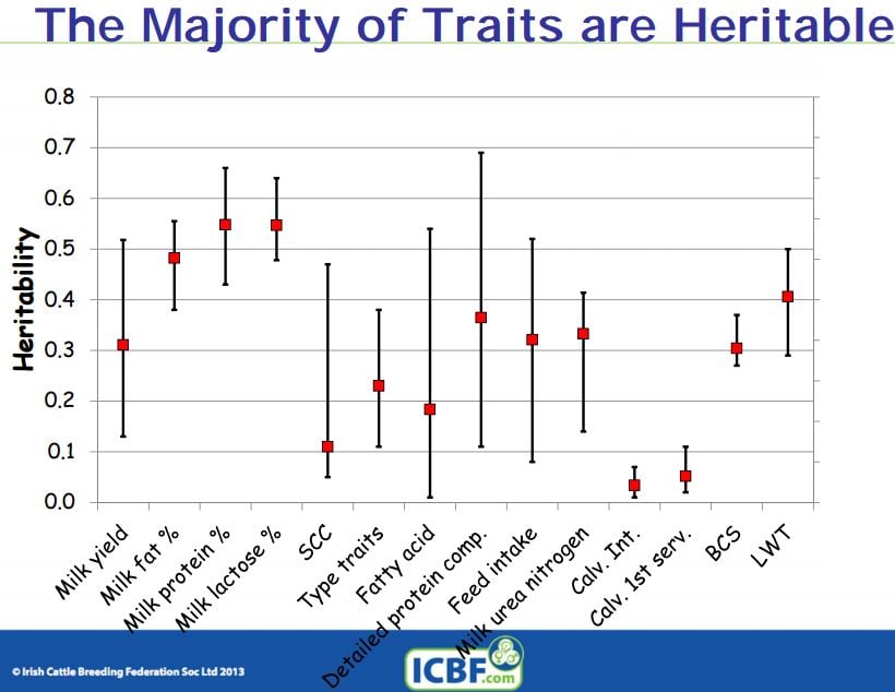 Source: ICBF