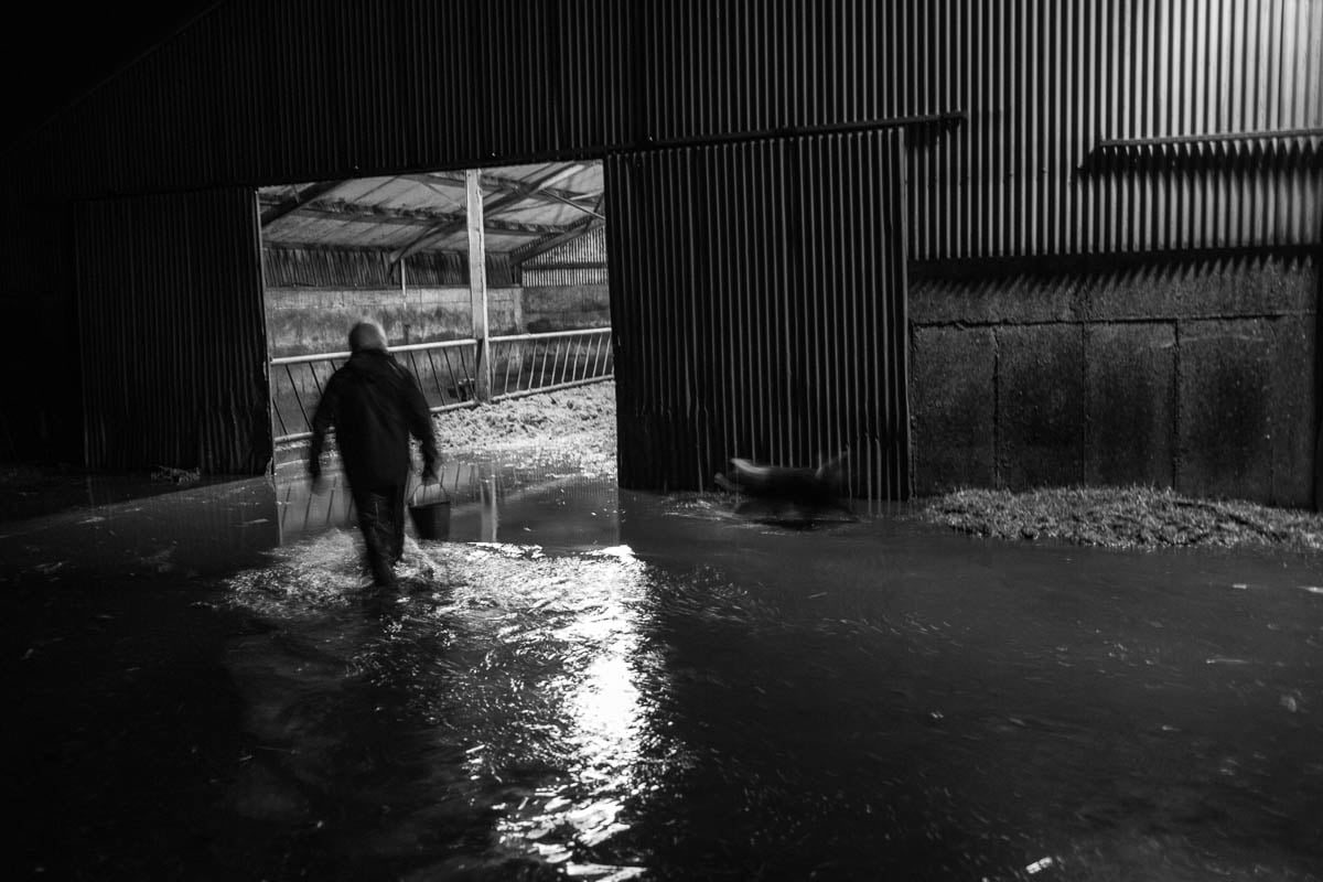 Image: Donal Kelly