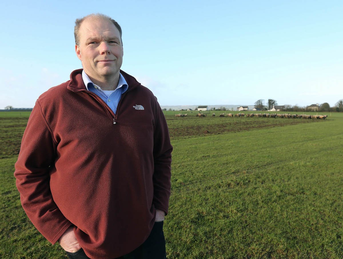 Henry Burns on his farm in Laois. Pic: Lorraine O’Sullivan