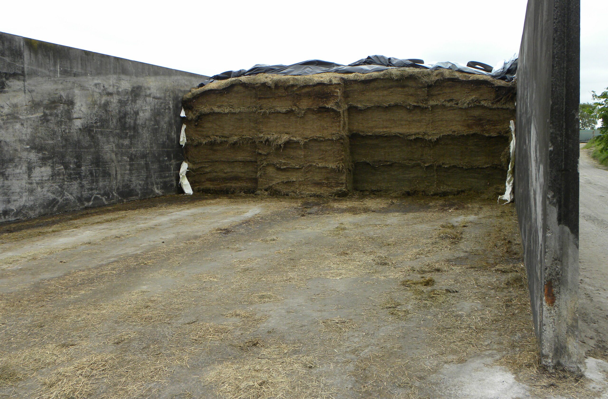 A well managed pit face with only a small bit of plastic pulled back