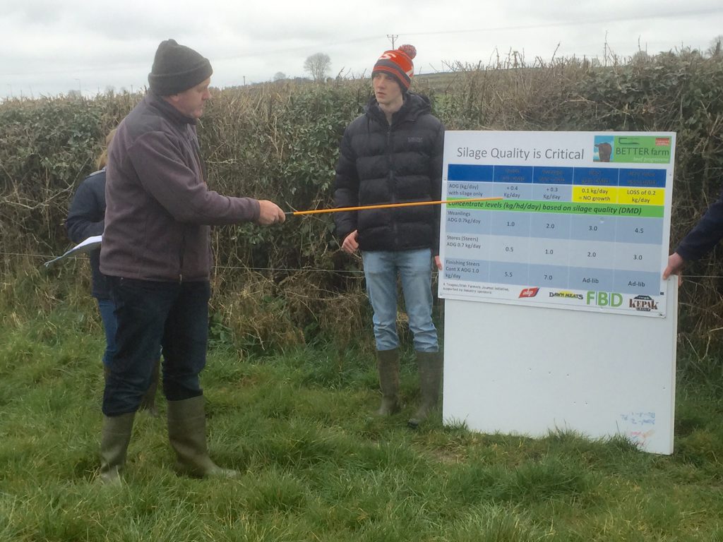 Teagasc’s Michael Daly speaking at the farm walk.