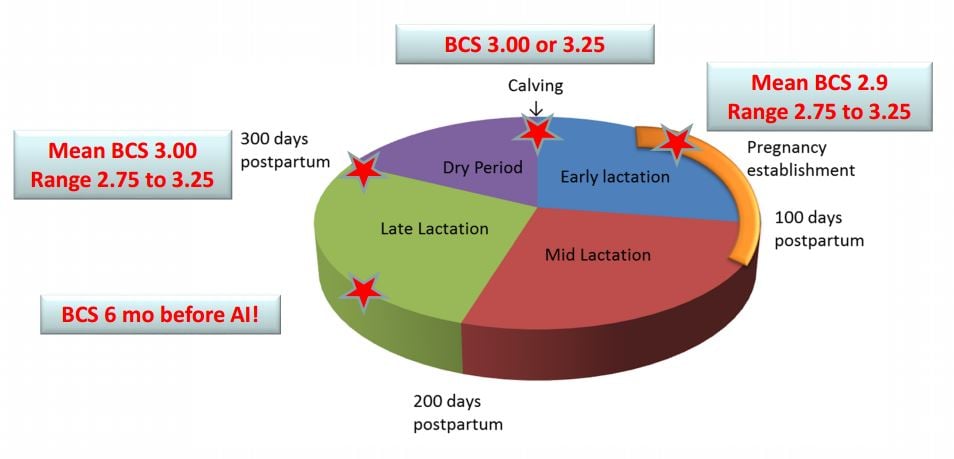 Source: Teagasc