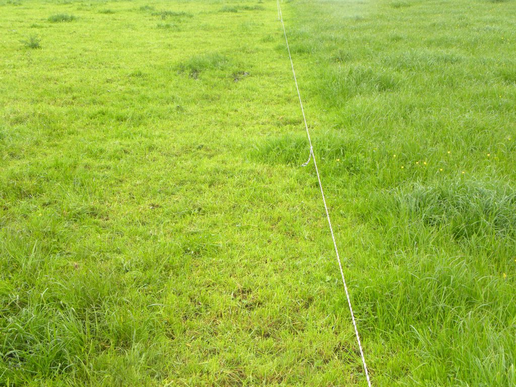 Before and after grazing.