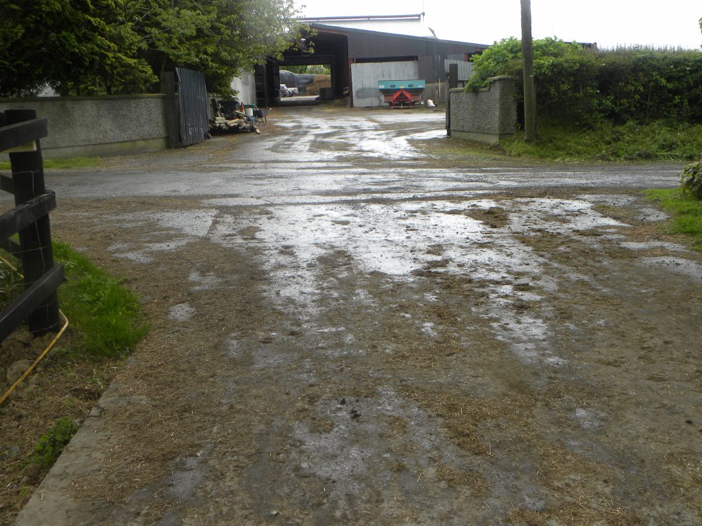 The pipeline runs under the road bringing milk from one side to the other.