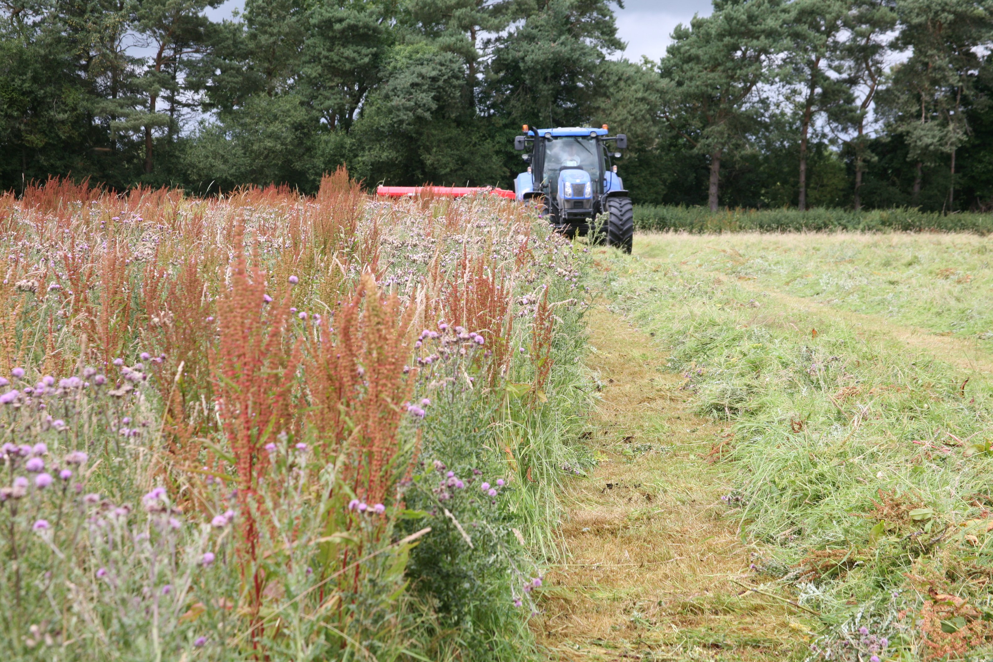Weeds can dramatically reduce grass yields and play havoc in baled silage by puncturing the film warping.