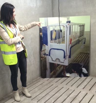 Dr Laura Boyle explains the working of sow feet crate. Photo: Shane McAuliffe