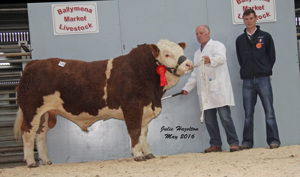 Norman Robson exhibited the first prize winning Kilbride Farm Gleno sold for a top price of £3,150. He was congratulated by Paul McDonald, judge.