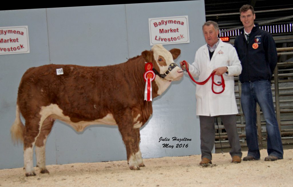 Female Champion was Cleenagh Gem sold for £2,835 by Adrian Richardson, Maguiresbridge. Included is judge Paul McDonald, Tempo.