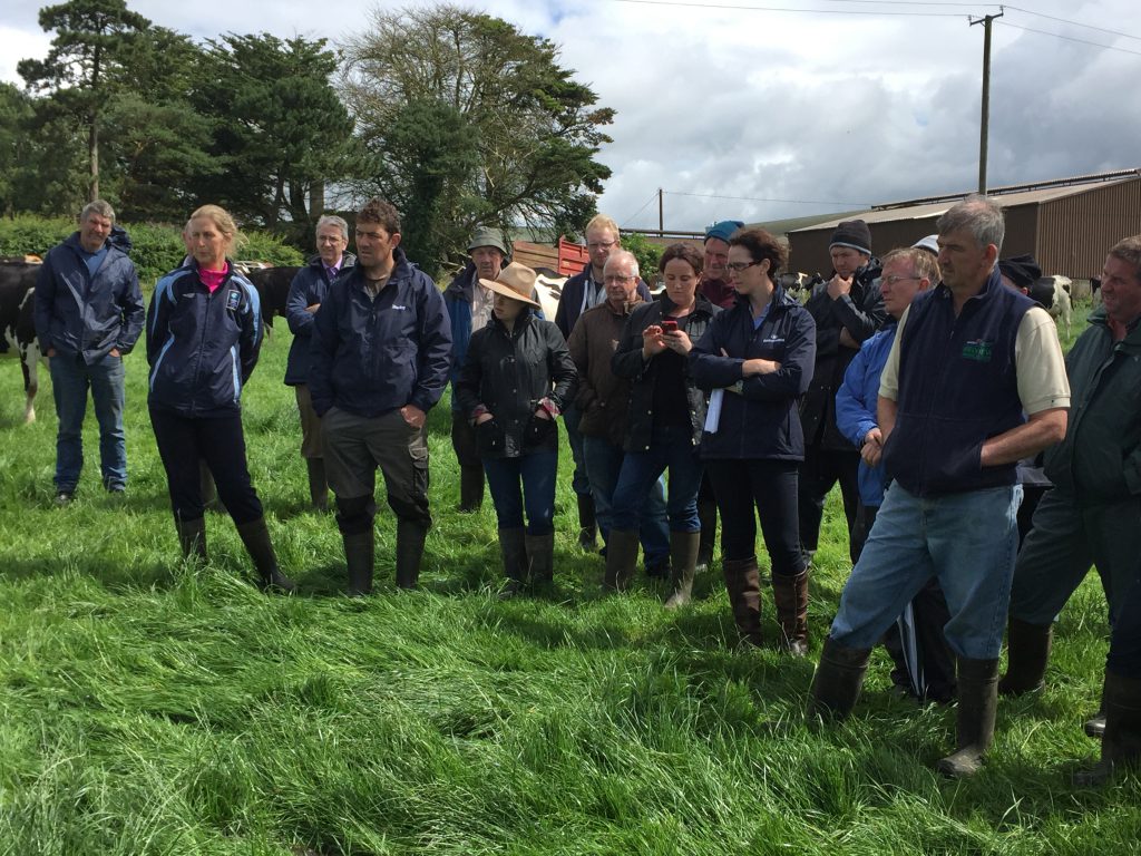 Crowds in attendance at the farm walk