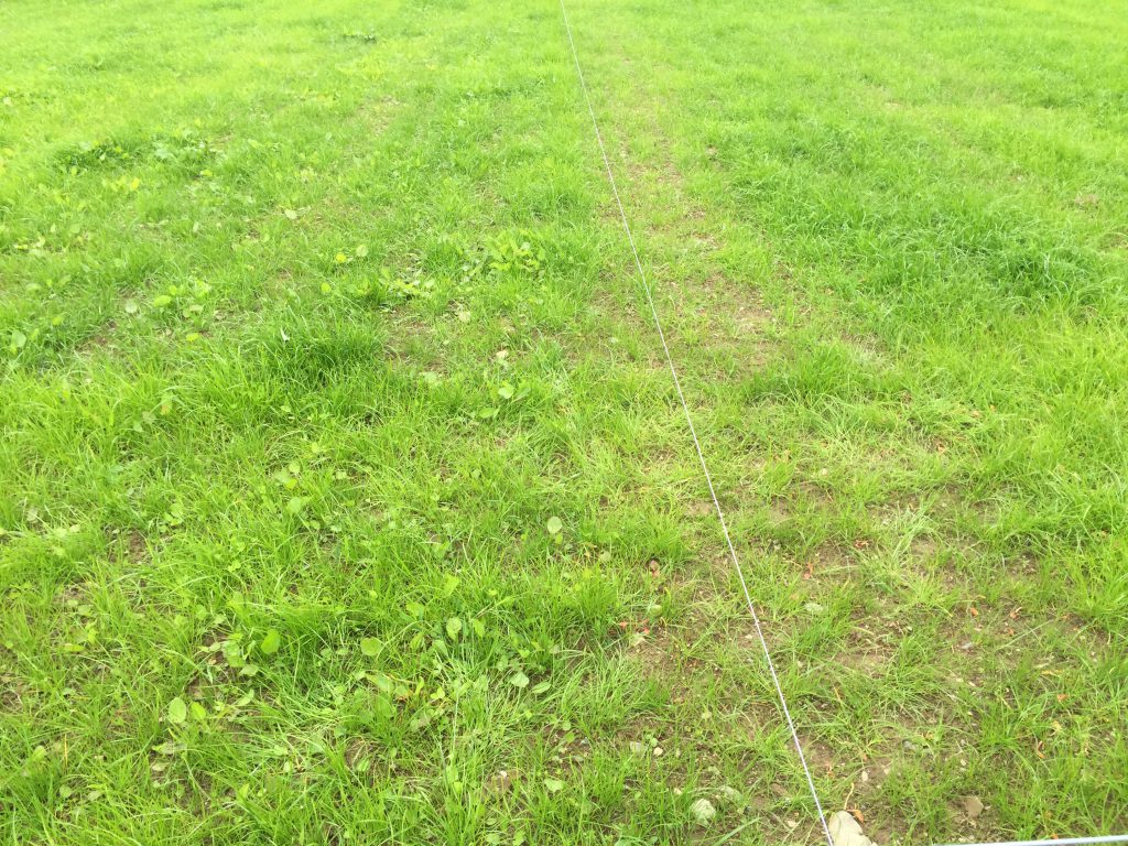 Reseeded sward after the plough, till and sow operation