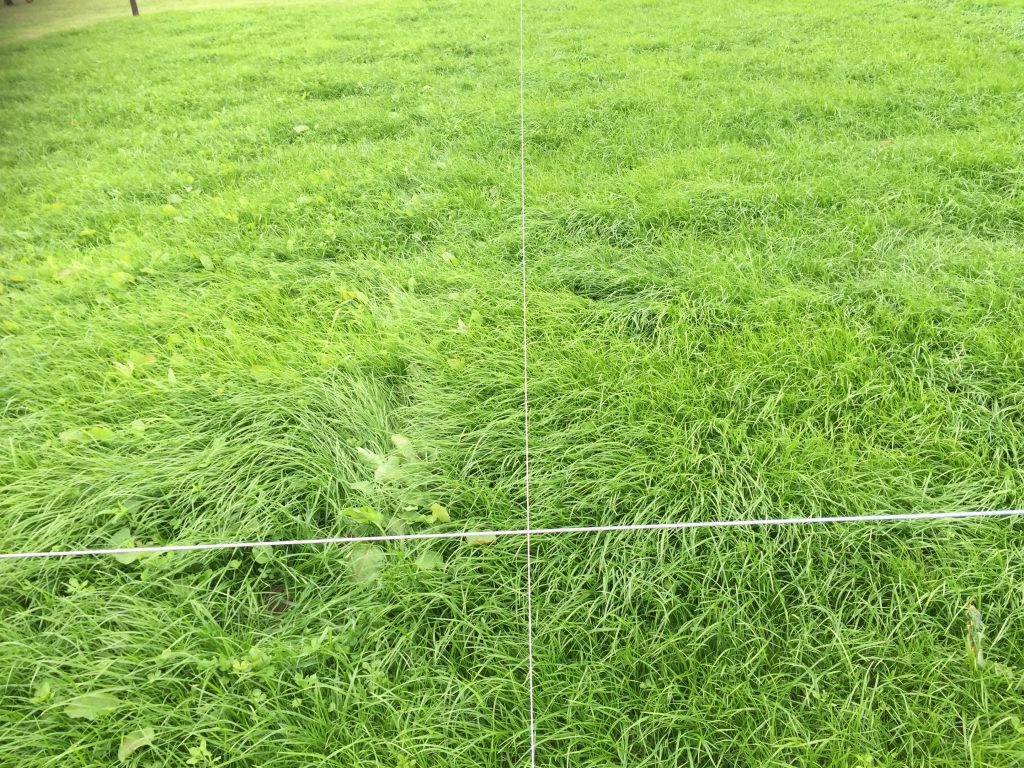 Sward after power harrow, till and sow method of reseeding