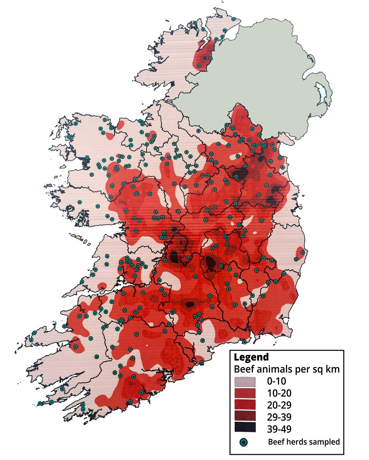 A heat map of beef animals infected with liver fluke per square kilometre