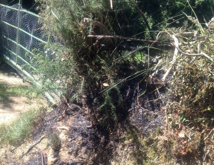 The fire caused some damage to the ditch when the tractor was been towed out