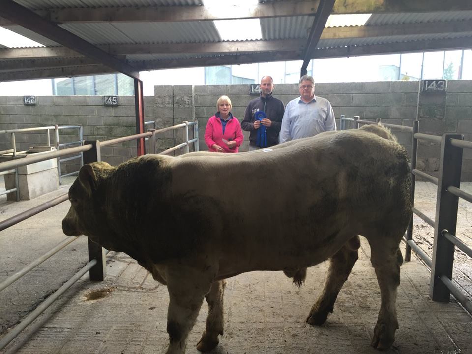 2nd Best Weanling Bull – 615kgs €1405, Thomas Flynn, Menlough, Ballinasloe, Co. Galway.
