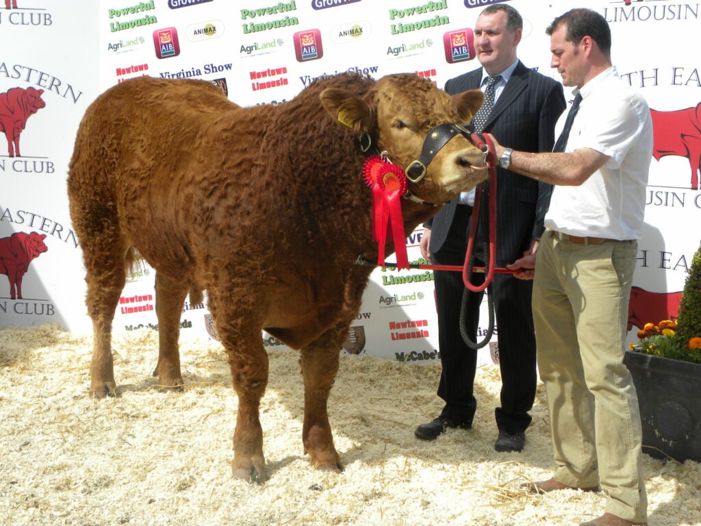 Stanley Richardson’s winning bull