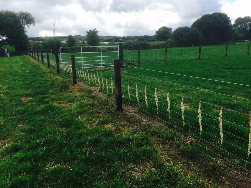 An example of permanent sheep fencing on John Doyle’s farm