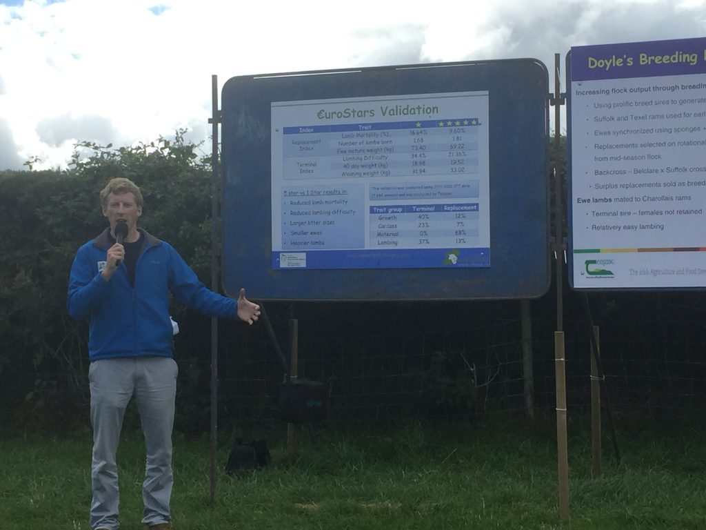 Sheep Ireland’s Eamon Wall speaking at the farm walk
