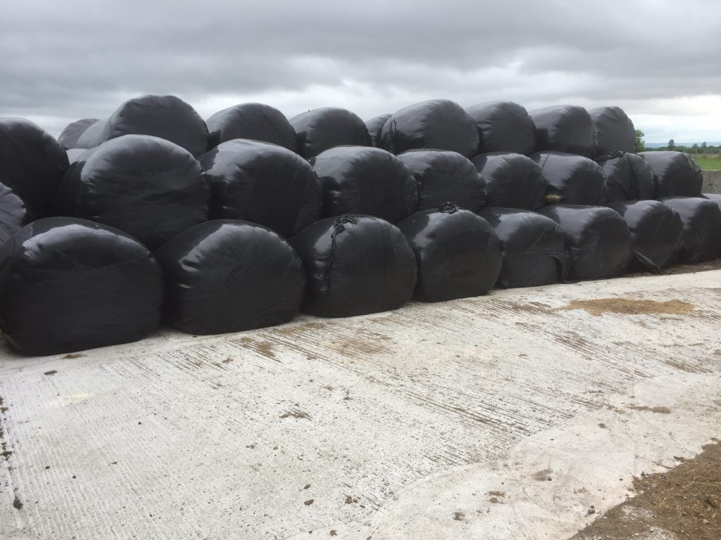Surplus bales made on O’Connor’s farm
