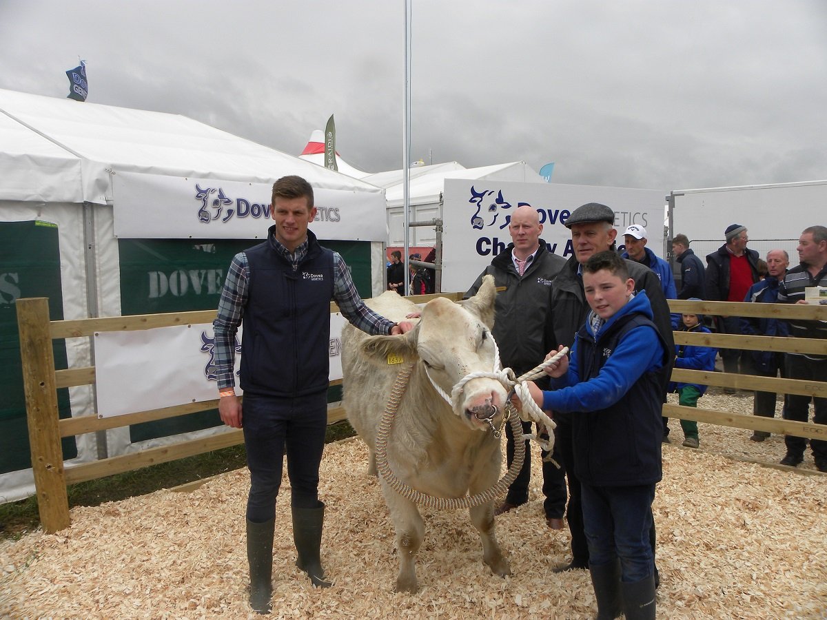 This 530kg Charolais heifer sold for €2,800.