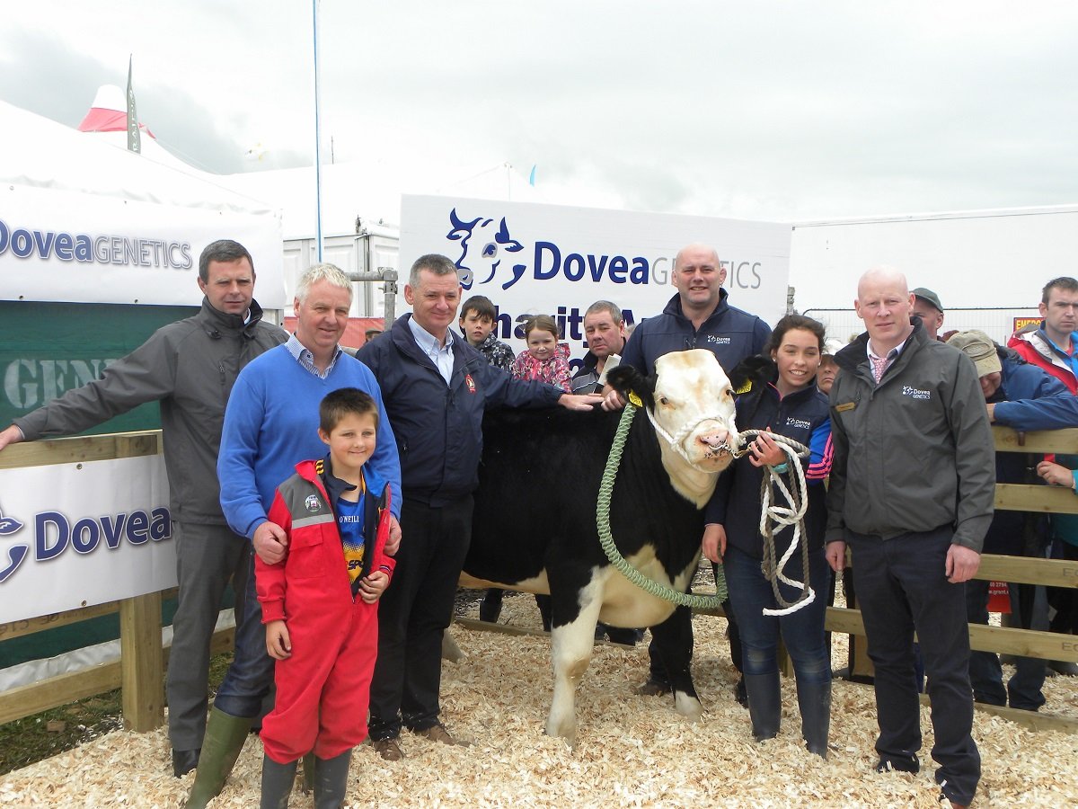 This Hereford was accompanied in the ring by John ‘Bull’ Hayes.