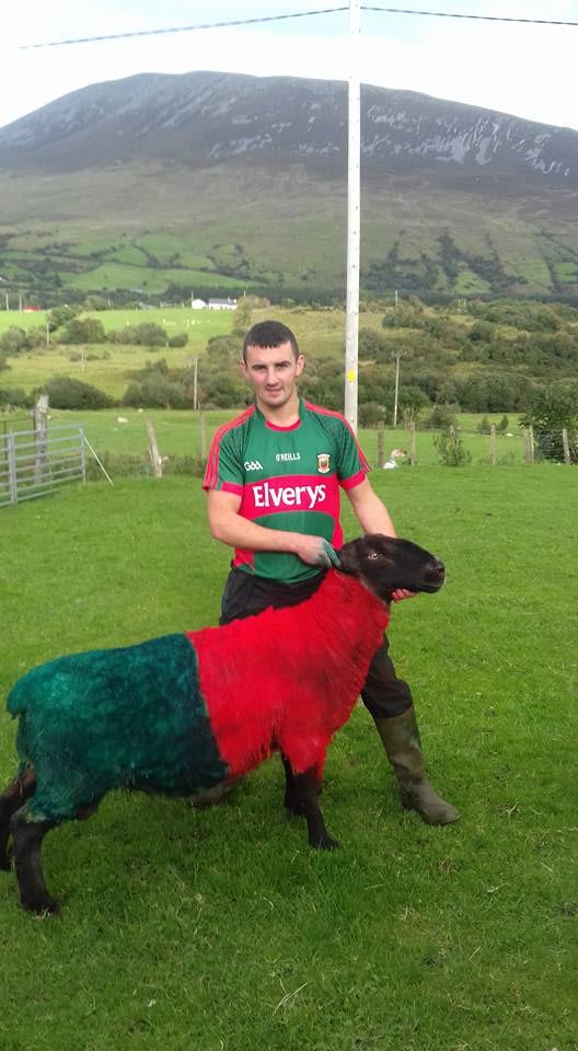 Source: Kevin McHugh (Facebook)