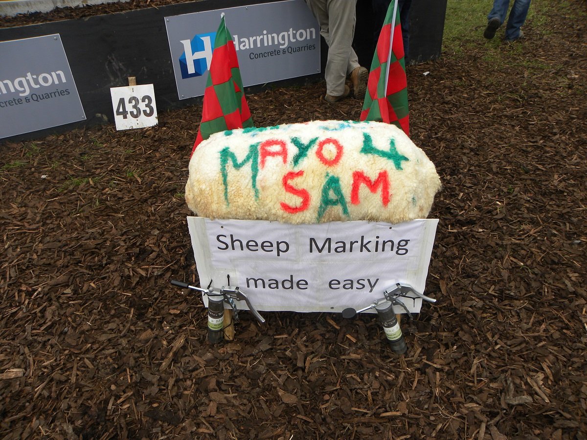 Supporting Mayo ahead of the All-Ireland Football final