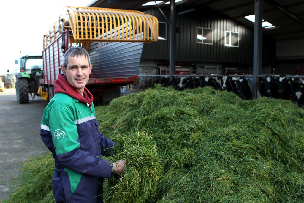 Tim Mannion on his farm in Co. Offaly
