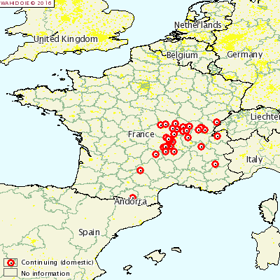 Heatmap of recent Bluetongue outbreaks Source: OIE