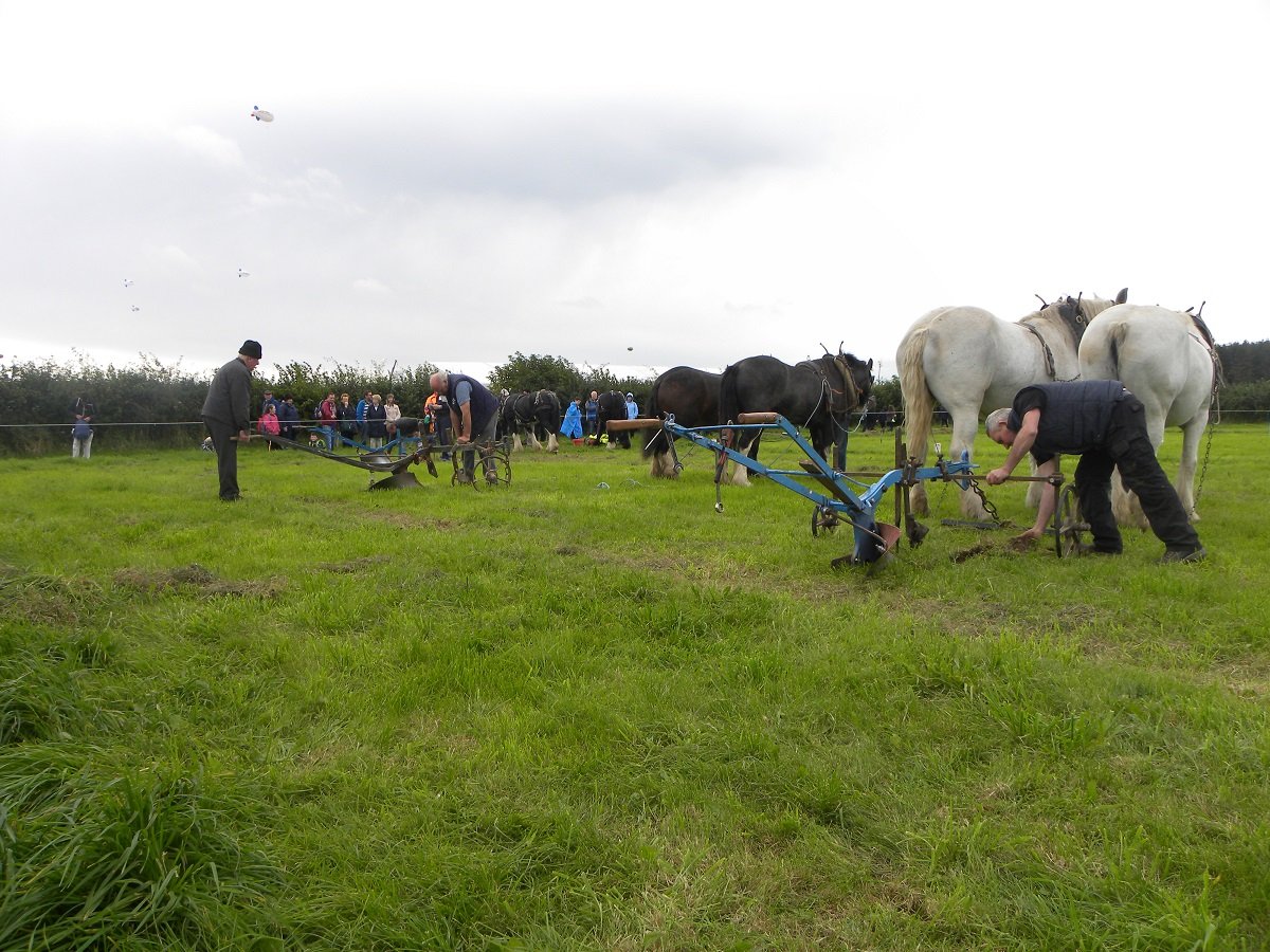Senior Horse Plough competitors getting set up on Day Two of the Ploughing